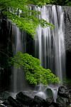 pic for Zen Waterfalls 